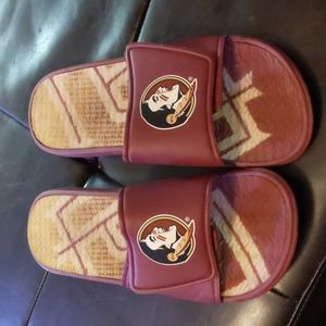 FSU Slides